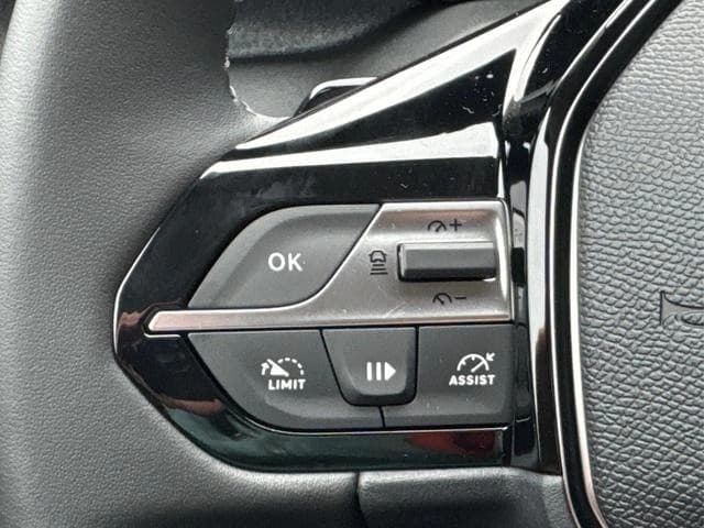 Peugeot 308 Allure SHZ KAMERA NAVI KEYLESS ACC 17 LM ... — 12